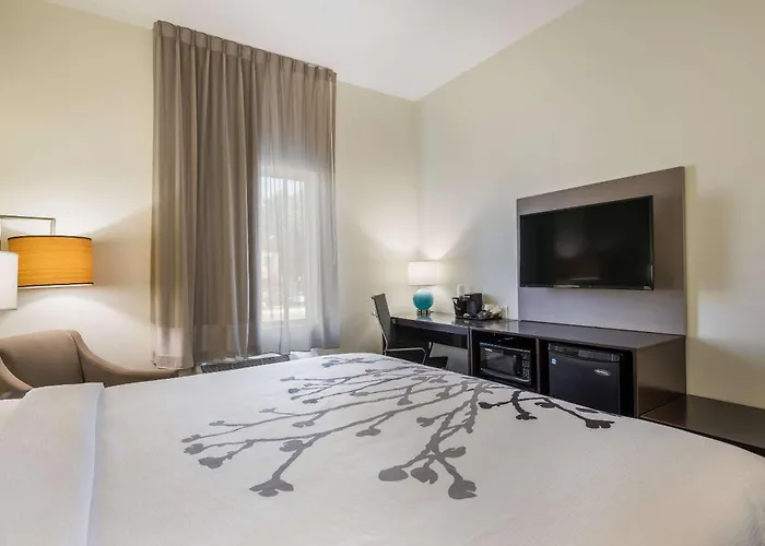 Sleep Inn&Suites Park City-Wichita North